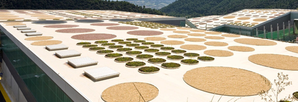 גינות על גגות מבנים - כבר לא חלום רחוק